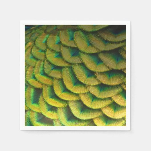 ピーコックフェザーIIカラフル自然 スタンダードカクテルナプキン (正面)