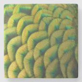 ピーコックフェザーIIカラフル自然 ストーンコースター (正面)