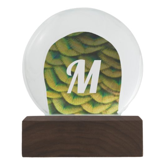 ピーコックフェザーIIカラフル自然 スノーグローブ (正面)