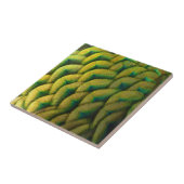 ピーコックフェザーIIカラフル自然 タイル (側面)