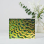 ピーコックフェザーIIカラフル自然 ポストカード (スタンド正面)