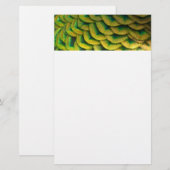 ピーコックフェザーIIカラフル自然 便箋 (正面/裏面)