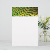 ピーコックフェザーIIカラフル自然 便箋 (スタンド正面)