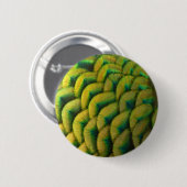 ピーコックフェザーIIカラフル自然 缶バッジ (正面&裏面)