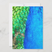 ピーコックブルーグリーン羽根の質感 サマーのウェディング 招待状 (裏面)