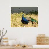 ピーコックプリント ポスター (キッチン)