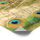 ピーコックプリント ポスター (角)