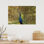 ピーコックプリント ポスター (キッチン)