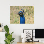 ピーコックプリント ポスター (ホームオフィス)