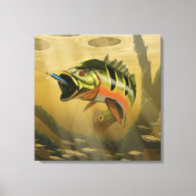 ピーコックベース