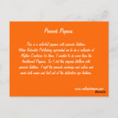 ピーコックペガサス ポストカード (裏面)