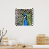 ピーコックポスタープリント ポスター (キッチン)