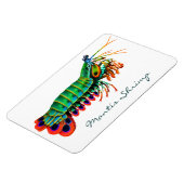 ピーコックマンティスエビ礁動物磁石 マグネット (左側)