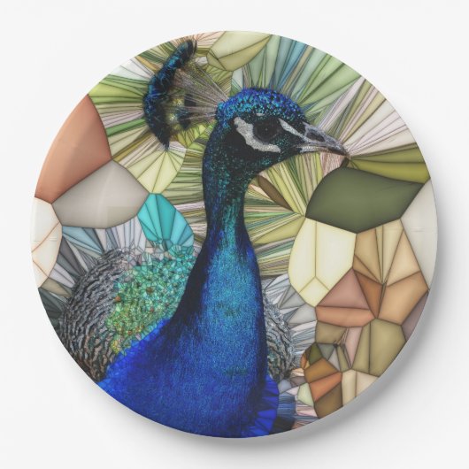 ピーコックモザイクカラフル紙プレート ペーパープレート (正面)