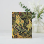 ピーコックモ素晴らしスバイビンセント・ヴァン・ゴッホ ポストカード (スタンド正面)