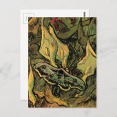 ピーコックモ素晴らしスバイビンセント・ヴァン・ゴッホ ポストカード (正面/裏面)