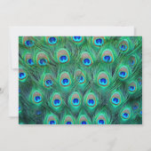 ピーコックリハーサルディナー 招待状 (裏面)