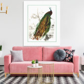 ピーコックルースティング キャンバスプリント (インサイチュ (リビング))