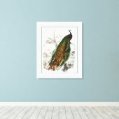 ピーコックルースティング キャンバスプリント (インサイチュ (ウッドフロア))