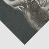 ピーコックレビクトリアンディティッシュペーパー 薄葉紙 (詳細)