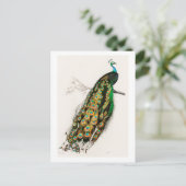 ピーコックヴィンテージアートイラストレーション ポストカード (スタンド正面)
