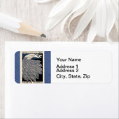 ピーコックヴィンテージブルーアールヌーボーアート ラベル (インサイチュ)