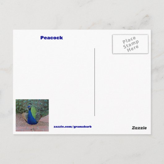 ピーコック引用文はがき ポストカード (裏面)