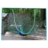 ピーコック抱き枕 ラージペーパーバッグ (裏面)