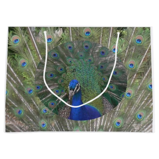 ピーコック抱き枕 ラージペーパーバッグ (正面)