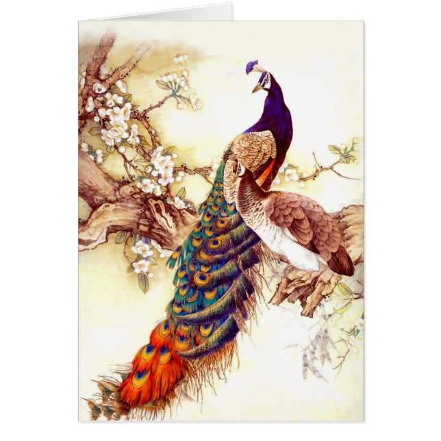 ピーコック王室の (正面)