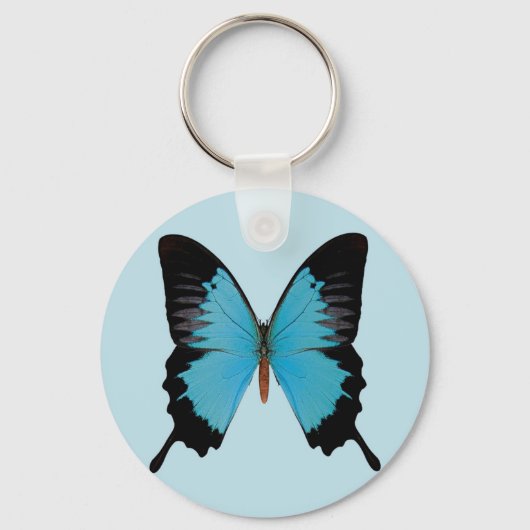 ピーコック王室の キーホルダー (正面)