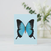 ピーコック王室の ポストカード (スタンド正面)