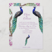 ピーコック結婚式招待状 シーズンカード (正面/裏面)