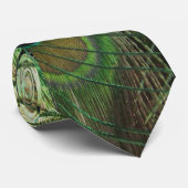 ピーコック美しい – タイ (ロール)