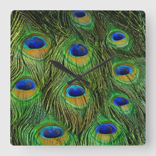 ピーコック羽 スクエア壁時計 (正面)