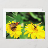 ピーコック蝶 – 招待状 (正面/裏面)