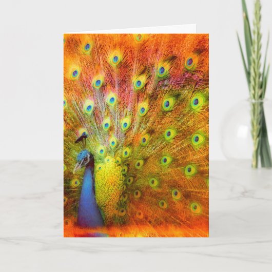 ピーコック誕生日 カード (正面)