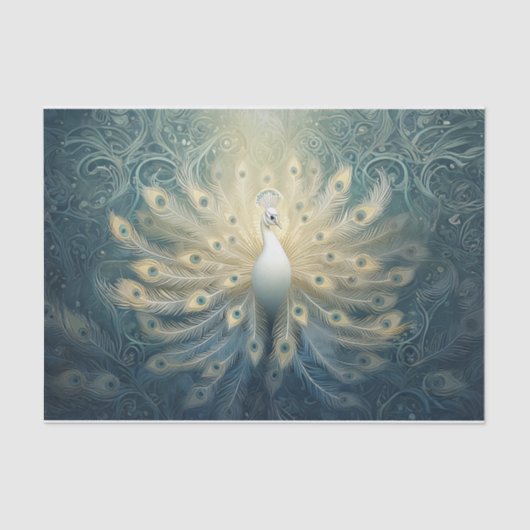 ピーコック開花、白い羽、エレガンス 薄葉紙 (正面)