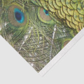 ピーコック1ウォールアートデコページティッシュペーパー 薄葉紙 (詳細)