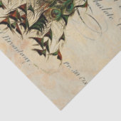 ピーコック18lbデカップシート離れ 薄葉紙 (詳細)