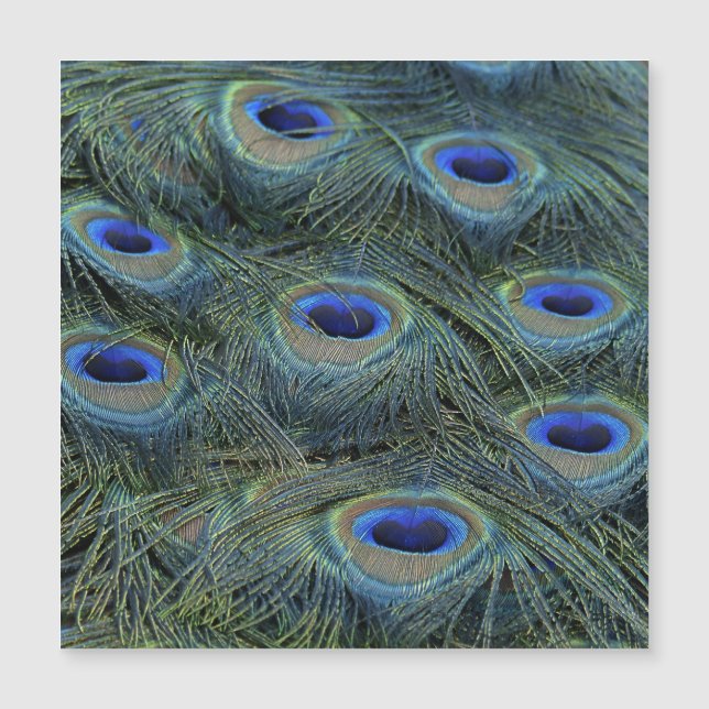 ピーコック20160301 (正面)