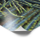 ピーコック20160301 フォトプリント            (角)