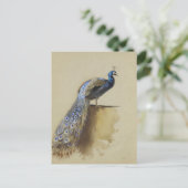 ピーコック | アーチボルト胸焼 ポストカード (スタンド正面)