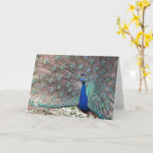 ピーコック カード (黄色い花)
