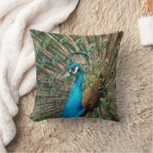ピーコック クッション (ブランケット)