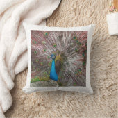 ピーコック クッション (ブランケット)
