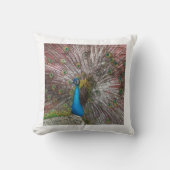 ピーコック クッション (正面)