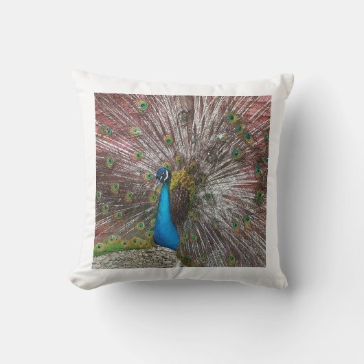 ピーコック クッション (正面)