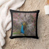 ピーコック クッション (ブランケット)