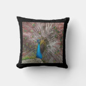 ピーコック クッション (正面)
